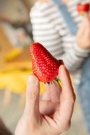 © Eva Lechner/LK Niederösterreich © Eva Lechner/LK Niederösterreich