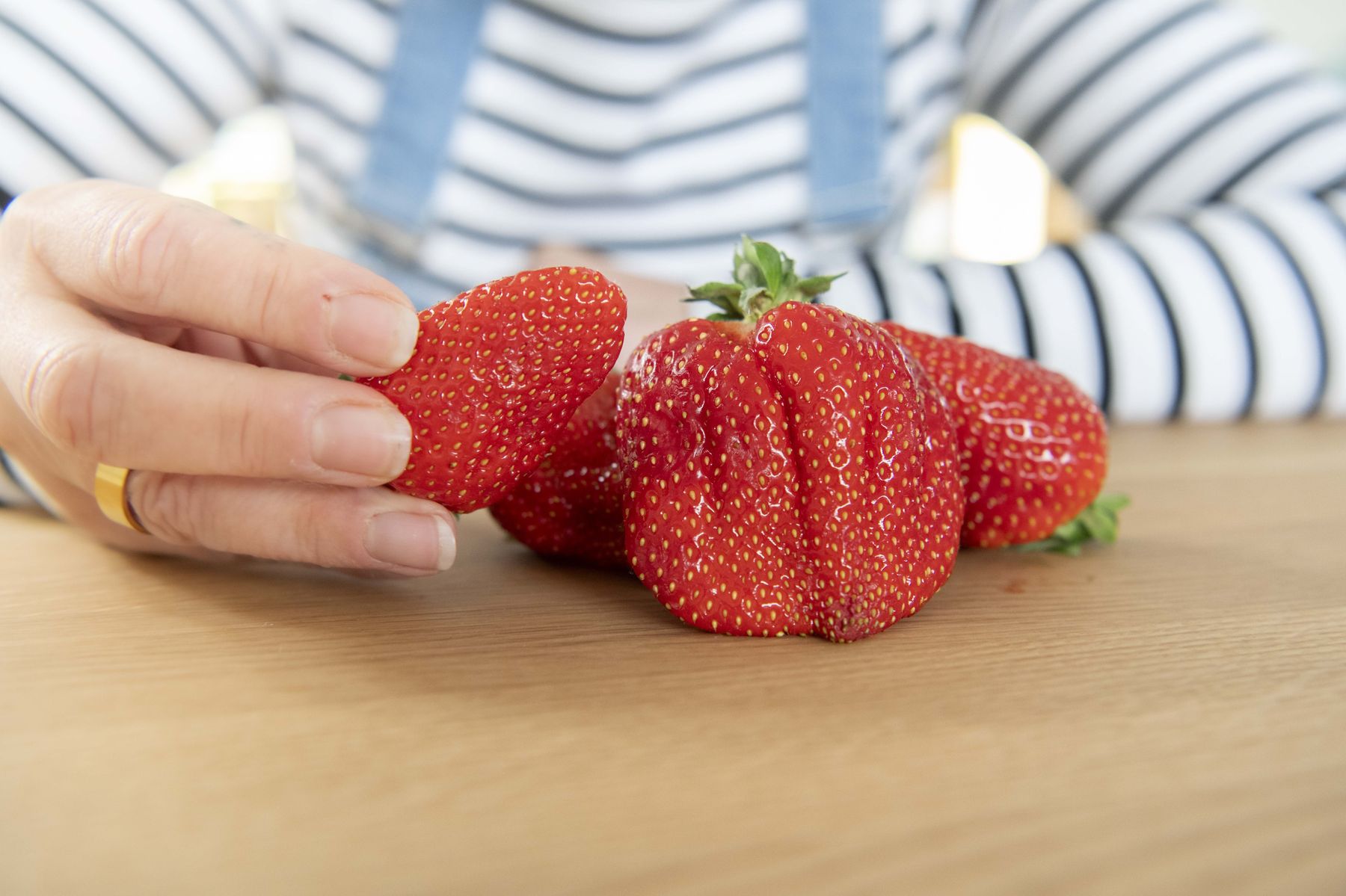 © Eva Lechner/LK Niederösterreich