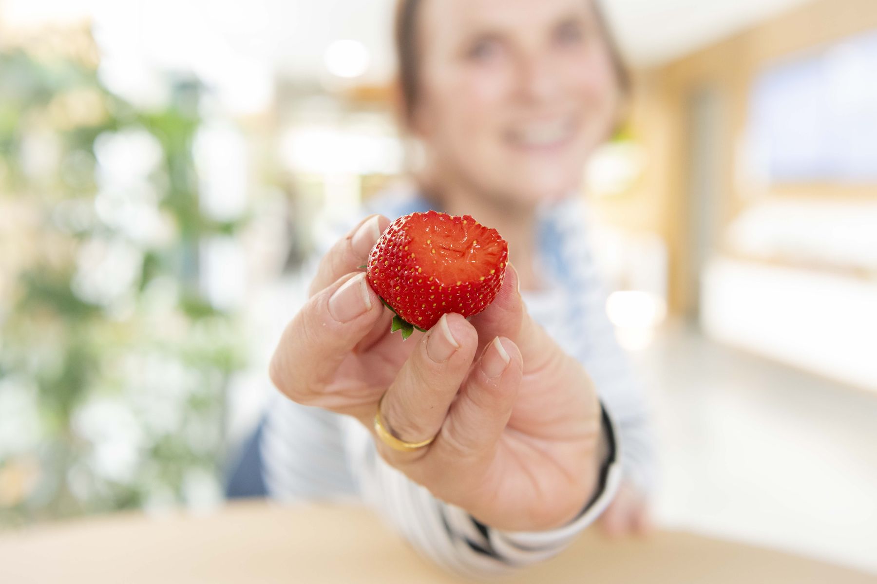 © Eva Lechner/LK Niederösterreich