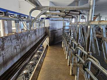 Neuer Stall Familie Vögel.jpg © LK Vbg.