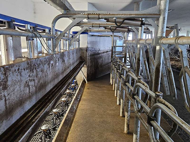 Neuer Stall Familie Vögel.jpg © LK Vbg.