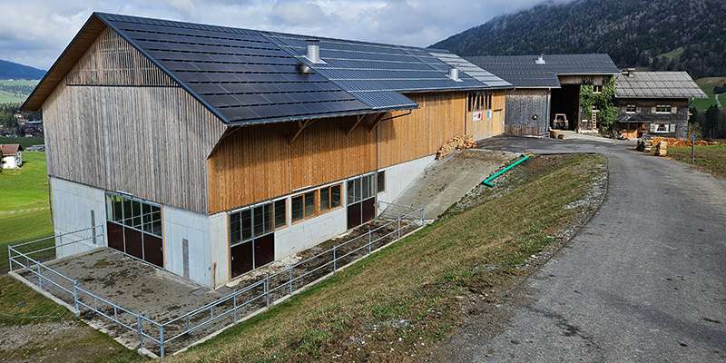 Neuer Stall Familie Vögel.jpg © LK Vbg.
