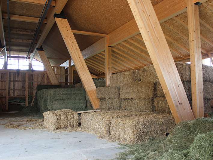 Neuer Stall Familie Vögel.jpg © LK Vbg.