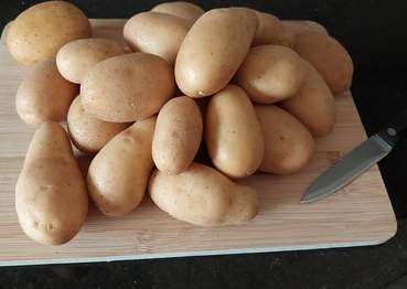 Erdäpfel © Anita Kamptner/LK Niederösterreich