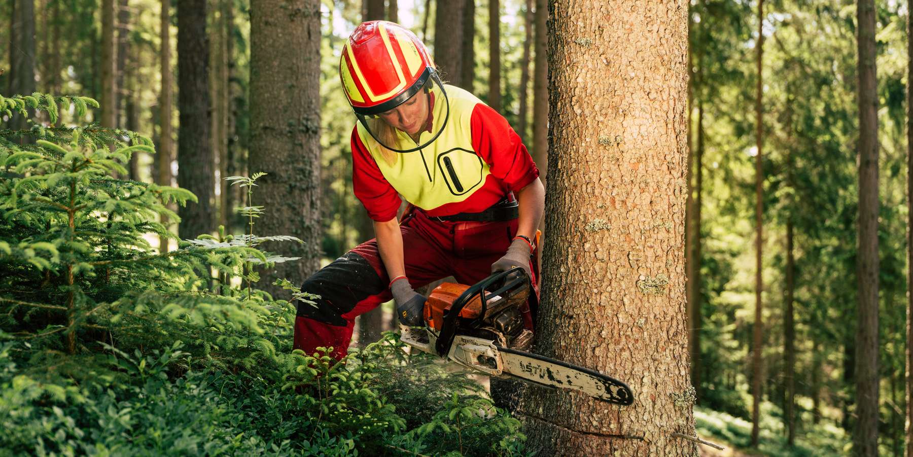 Försterin © Bernhard Bergmann