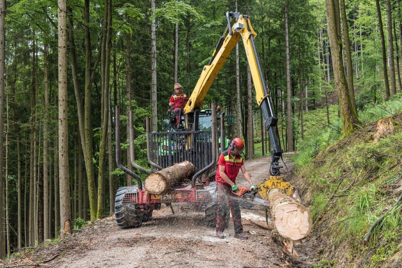 fobi_Forstaussschuss_Foto Beratung Forst und Bioenergie_LK OOE (61).jpg © LK OÖ