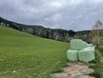 Siloballen auf Feld © LKÖ/Nothnagel