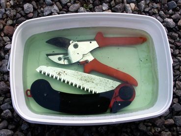 Desinfektion Werkzeug.jpg © LK Steiermark