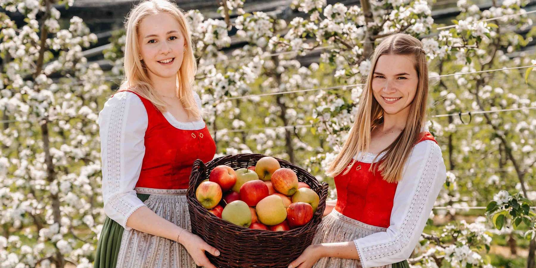 Neue Obsthoheiten ab 2026 © LK Steiermark/Fuchs