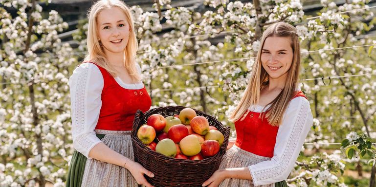 Neue Obsthoheiten ab 2026 © LK Steiermark/Fuchs