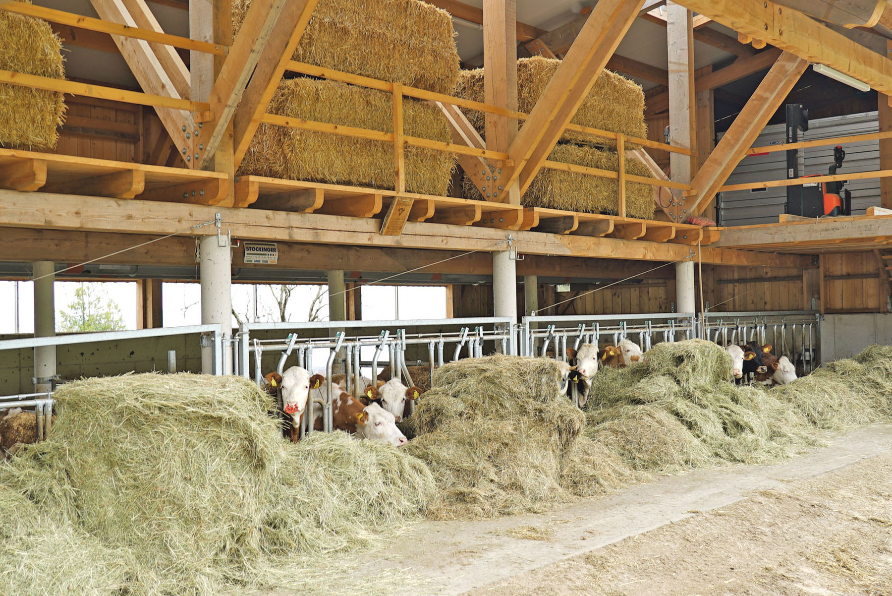 Oberbuchstätt Anthering.jpg © Hatheier