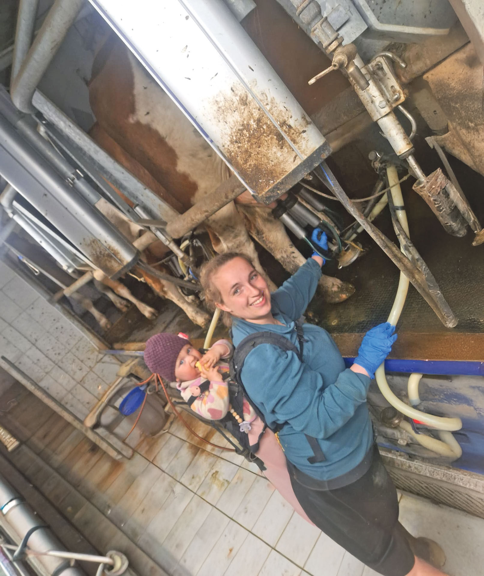 Oberbuchstätt Anthering.jpg © Hatheier