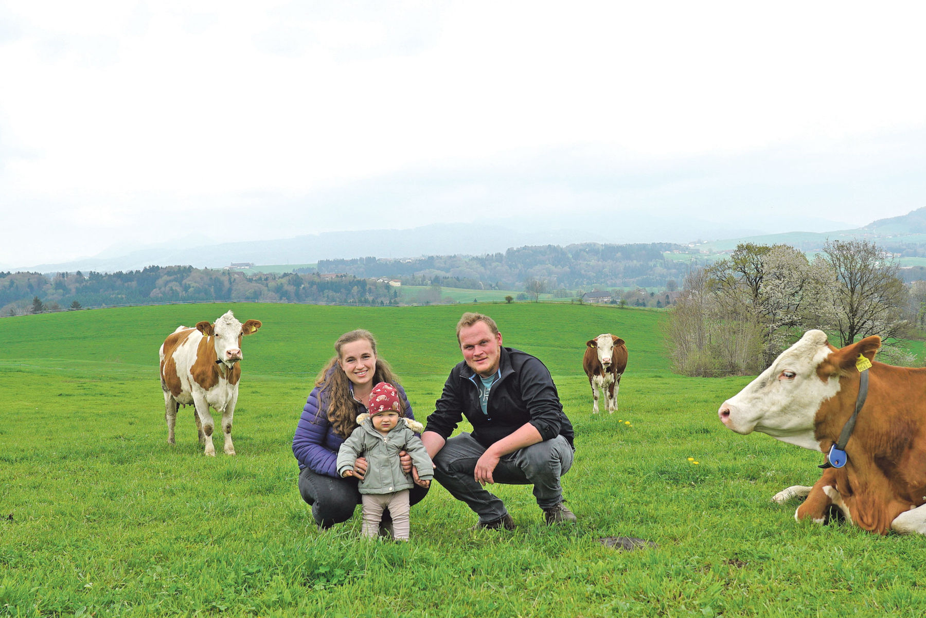 Oberbuchstätt Anthering.jpg © Hatheier