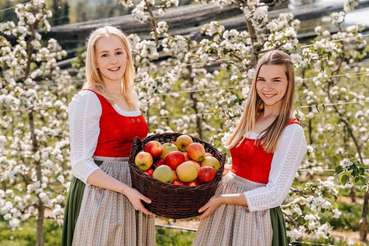 Steiermark hat zwei neue Obsthoheiten.jpg © LK Steiermark/Fuchs