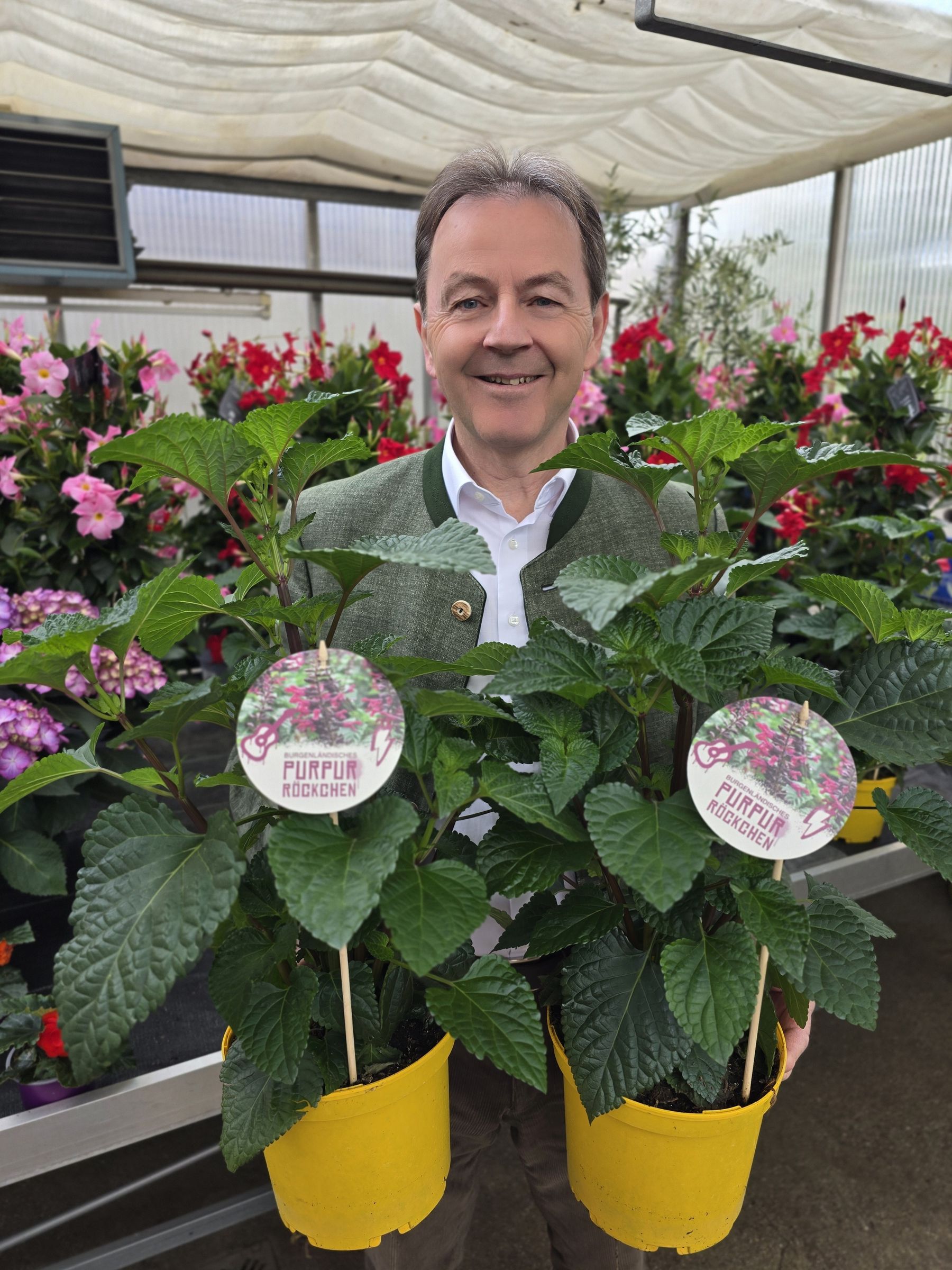 Blume des Jahres_Purpur-Röckchen_Berlakovich_(c)LKBgld_Tesch-Wessely.jpg © LKBgld_Tesch-Wessely