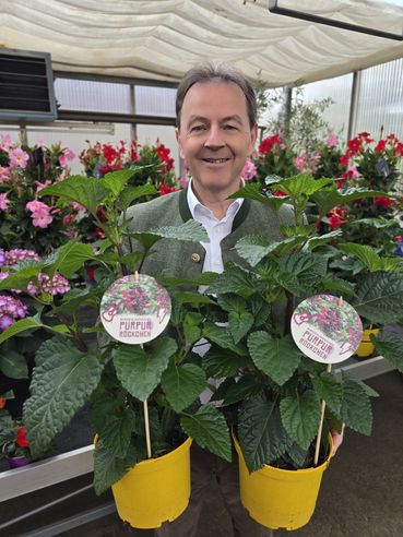 Blume des Jahres_Purpur-Röckchen_Berlakovich_(c)LKBgld_Tesch-Wessely.jpg © LKBgld_Tesch-Wessely