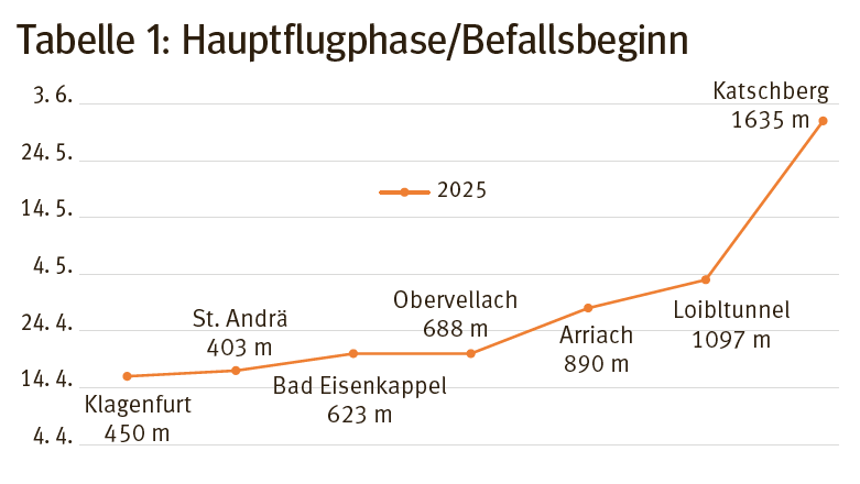 Borkenkäfer 1.png © KK