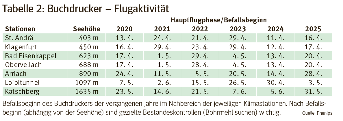 Borkenkäfer2.png © KK