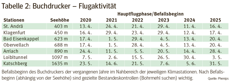 Borkenkäfer2.png © KK