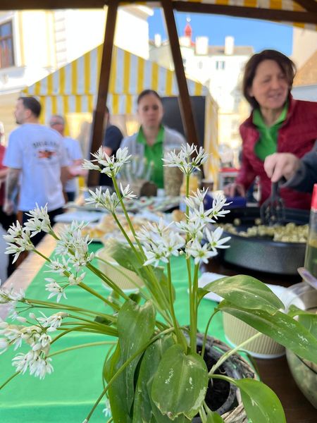 Frischemarkt Groß Enhzersdorf