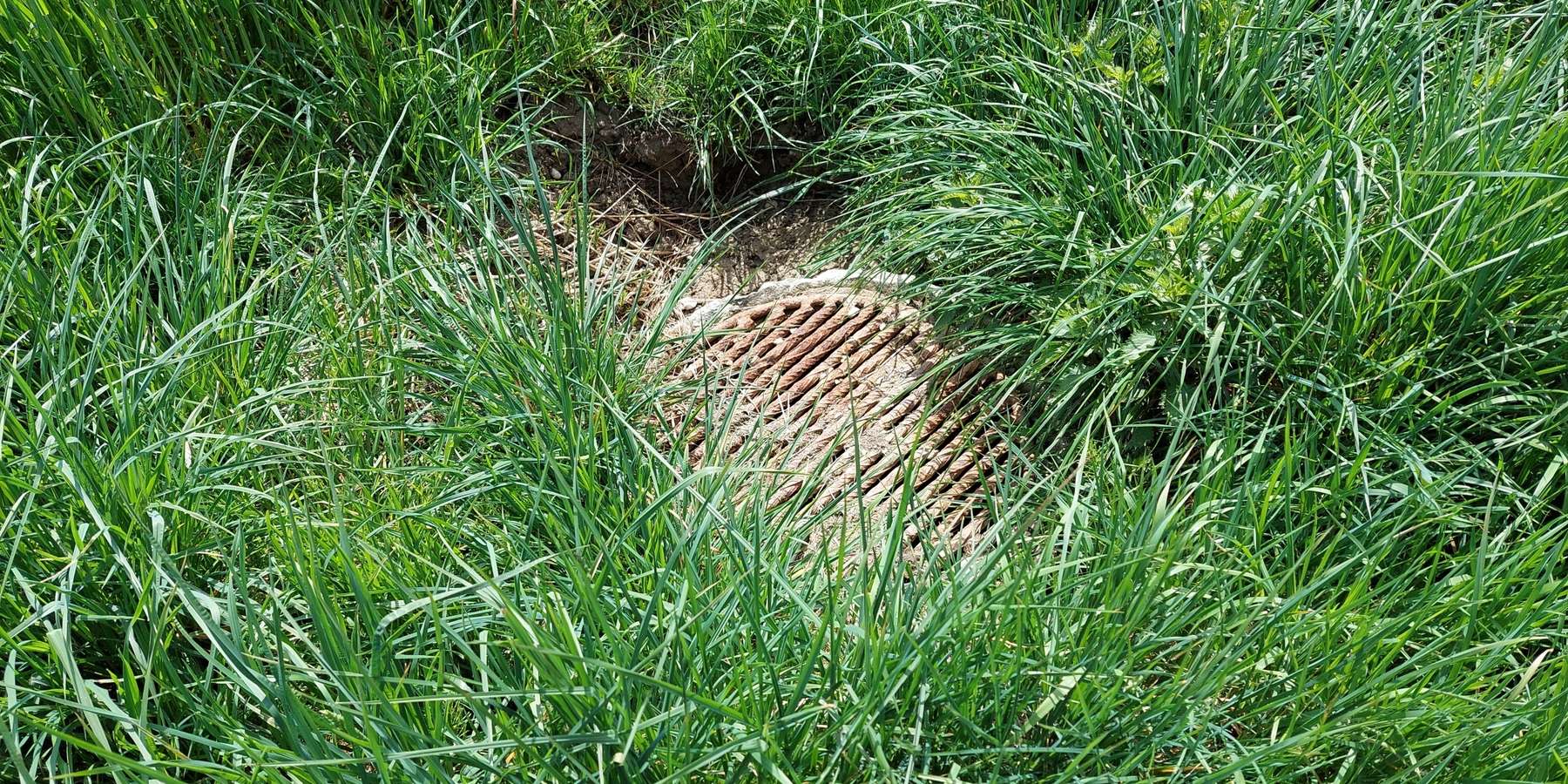 Gully am Feldrand.jpg © BWSB/Wallner