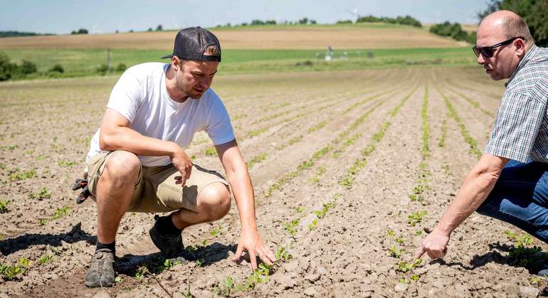 Landwirte auf einem Acker © Georg Pomaßl - LK Niederösterreich