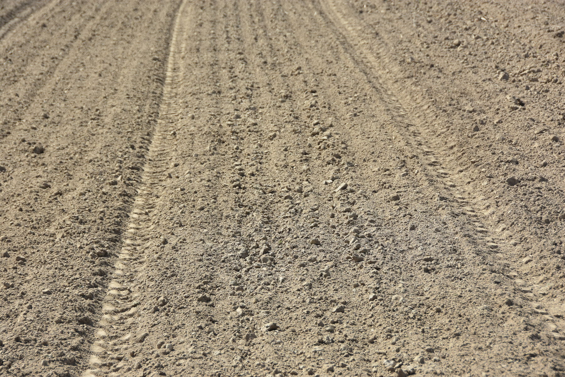 Vorauflaufbehandelte Fläche.jpg © LK OÖ/Köppl