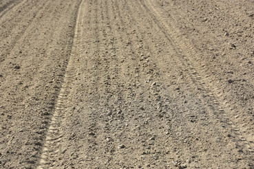 Vorauflaufbehandelte Fläche.jpg © LK OÖ/Köppl