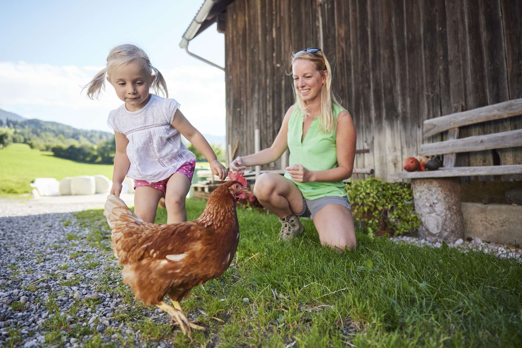 Bauernhof Urlaub, der in Erinnerung bleibt.jpg © UaB/Alexander Kaiser