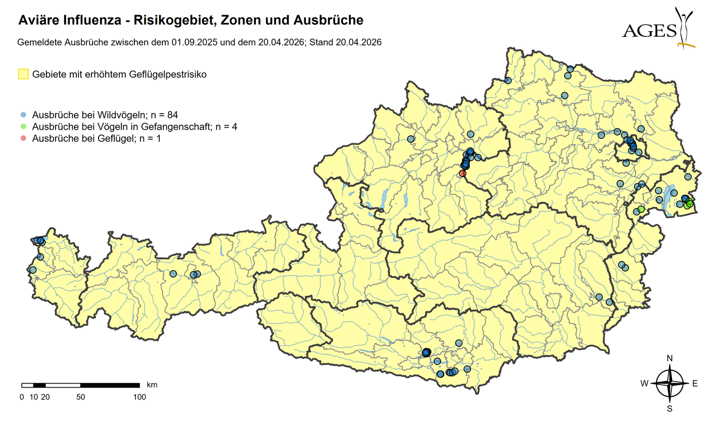 Blauzungenkrankheit (Stand: 20.4.2026) © AGES