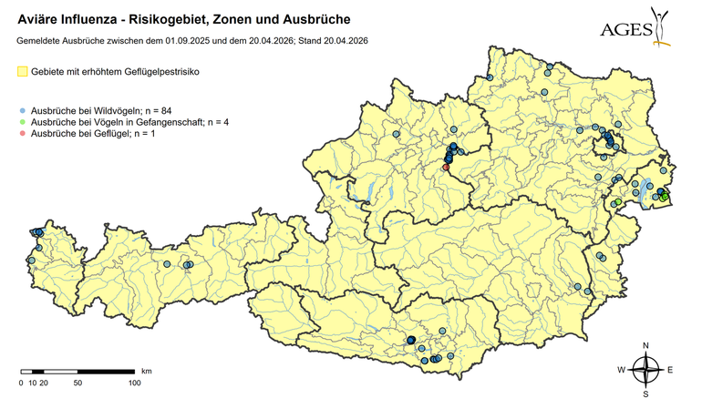 Blauzungenkrankheit (Stand: 20.4.2026) © AGES