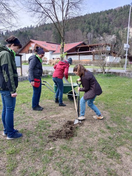 Tag des Baumes  ©&nbsp;Die Bäuerinnen im Bezirk Neunkirchen 