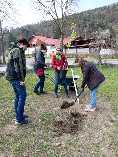 Tag des Baumes  ©&nbsp;Die Bäuerinnen im Bezirk Neunkirchen 
