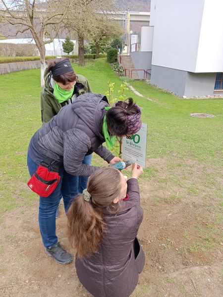 Tag des Baumes  ©&nbsp;Die Bäuerinnen im Bezirk Neunkirchen 
