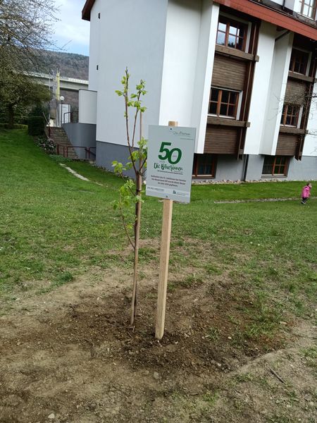 Tag des Baumes  ©&nbsp;Die Bäuerinnen im Bezirk Neunkirchen 