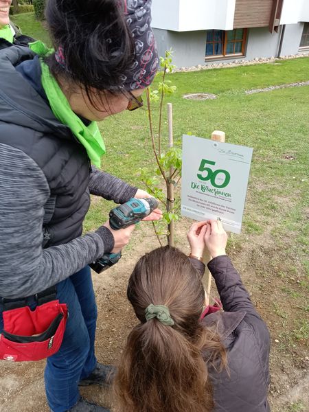 Tag des Baumes  ©&nbsp;Die Bäuerinnen im Bezirk Neunkirchen 