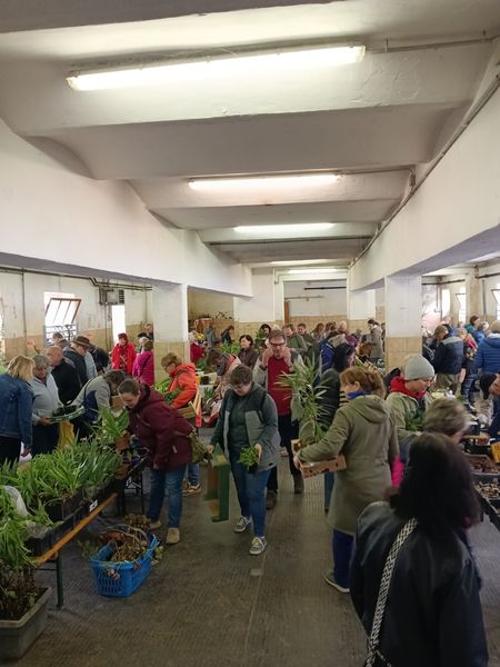 Tag des Baumes  ©&nbsp;Die Bäuerinnen im Bezirk Neunkirchen 