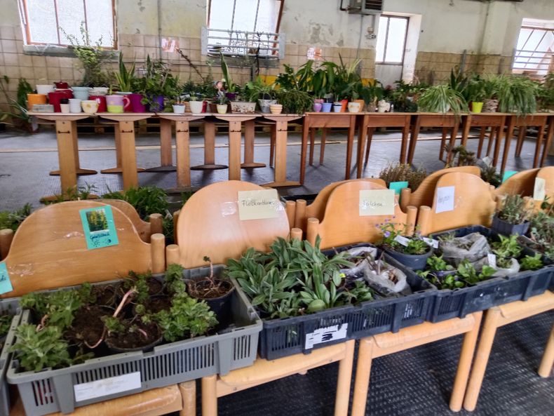 Tag des Baumes  ©&nbsp;Die Bäuerinnen im Bezirk Neunkirchen 