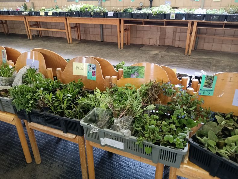 Tag des Baumes  ©&nbsp;Die Bäuerinnen im Bezirk Neunkirchen 