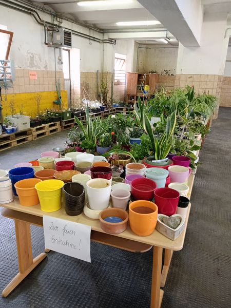 Tag des Baumes  ©&nbsp;Die Bäuerinnen im Bezirk Neunkirchen 