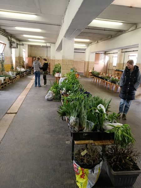 Tag des Baumes  ©&nbsp;Die Bäuerinnen im Bezirk Neunkirchen 