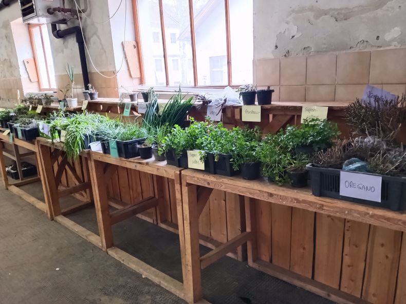 Tag des Baumes  ©&nbsp;Die Bäuerinnen im Bezirk Neunkirchen 