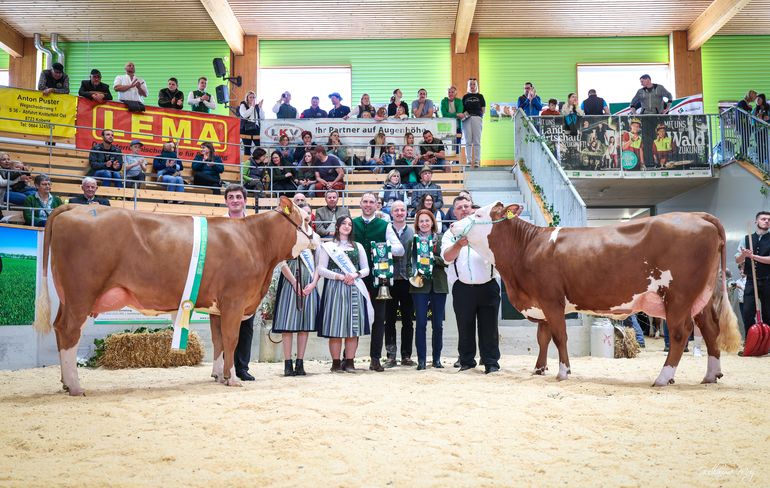 Rinderschau © Friedrich Baumann