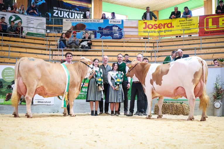 Rinderschau © Friedrich Baumann