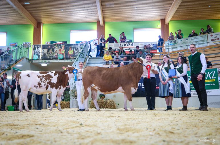 Rinderschau © Friedrich Baumann