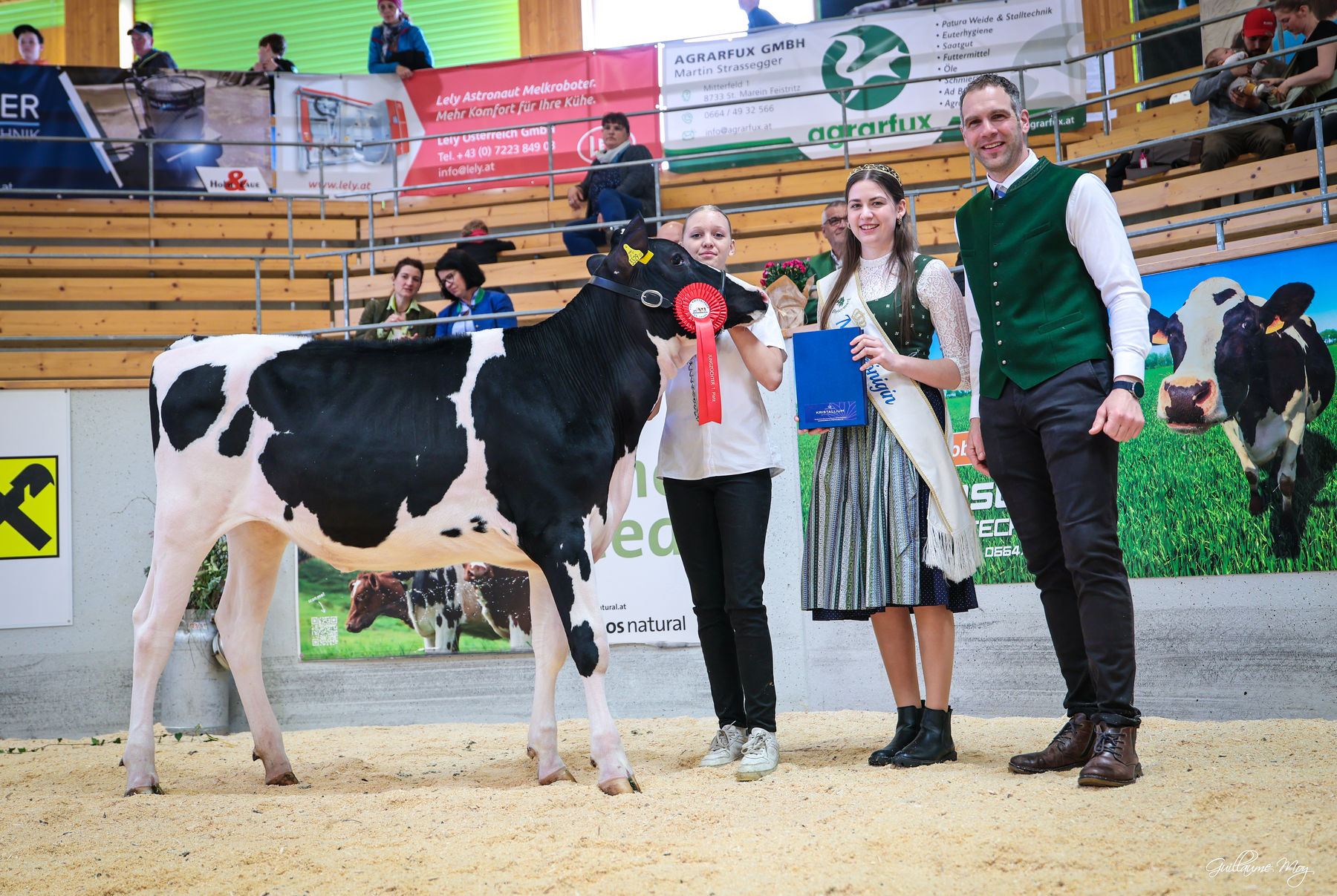 Rinderschau © Friedrich Baumann