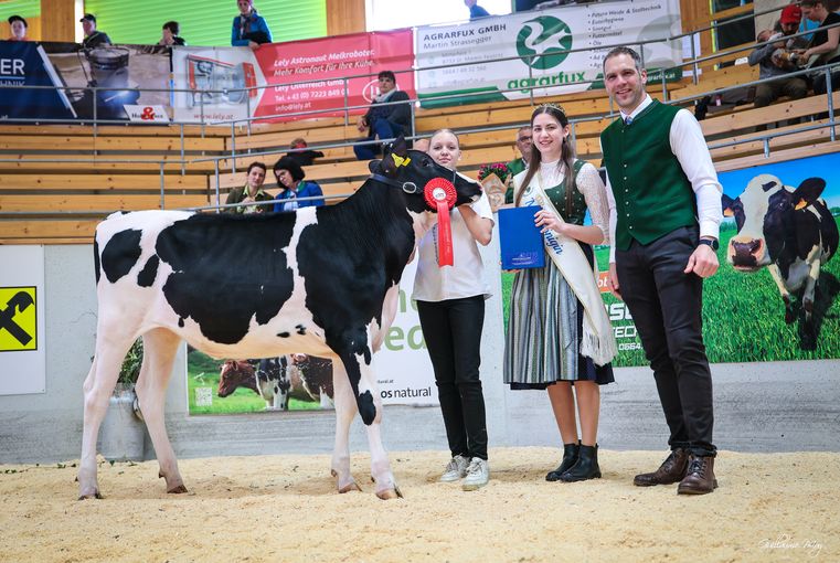 Rinderschau © Friedrich Baumann