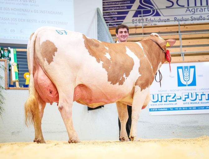 Rinderschau © Friedrich Baumann