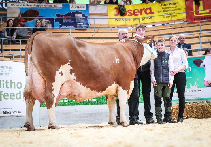 Rinderschau © Friedrich Baumann