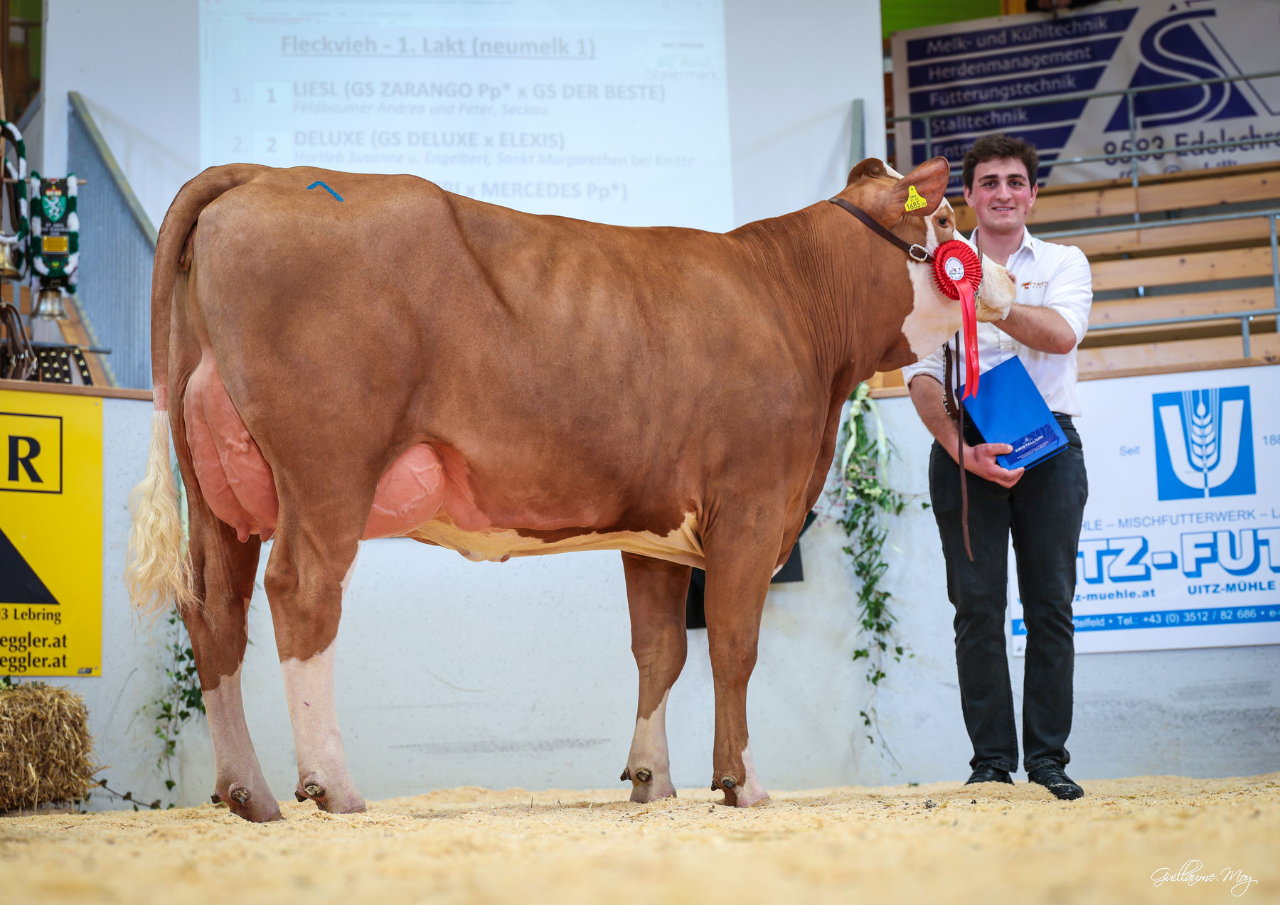 Rinderschau © Friedrich Baumann